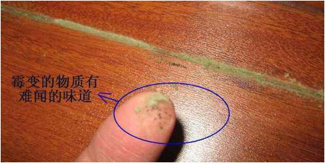 東易力天裝飾提醒你牢記這幾招，兒童房清潔輕松做